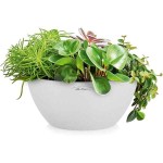 CUBETO Stone 40 Λευκή Δ40x18cm Γλάστρα-Λεκάνη Αυτοποτιζόμενη & Κασπώ LECHUZA - Λεκανοειδείς Αυτοποτιζόμενες Γλάστρες