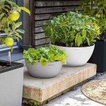 CUBETO Stone 40 Μπεζ Δ40x18cm Γλάστρα-Λεκάνη Αυτοποτιζόμενη & Κασπώ LECHUZA - Λεκανοειδείς Αυτοποτιζόμενες Γλάστρες