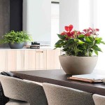 CUBETO Stone 40 Μπεζ Δ40x18cm Γλάστρα-Λεκάνη Αυτοποτιζόμενη & Κασπώ LECHUZA - Λεκανοειδείς Αυτοποτιζόμενες Γλάστρες