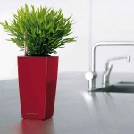 CUBI Maxi Κόκκινο Σκάρλετ 14x14x26cm Τετράγωνη Αυτοποτιζόμενη Γλάστρα & Κασπώ LECHUZA - Τετράγωνες Αυτοποτιζόμενες Γλάστρες