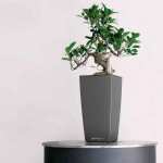CUBI Mini Ανθρακί 9x9x18cm Τετράγωνη Αυτοποτιζόμενη Γλάστρα & Κασπώ LECHUZA - Τετράγωνες Αυτοποτιζόμενες Γλάστρες