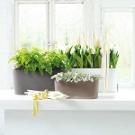 DELTA 10 Charcoal Metallic 30x11x13cm Self-Watering Planter