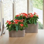 DELTA 10 Charcoal Metallic 30x11x13cm Self-Watering Planter