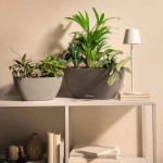 NAVIO Color 10 Σχιστόλιθος 29x14x(Υ)13,5cm Αυτοποτιζόμενη Γλάστρα & Κασπώ LECHUZA - Κρεμαστές Αυτοποτιζόμενες Γλάστρες