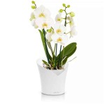ORCHIDEA White D18x20cm Self-Watering Round Planter-Cachepot LECHUZA Complete - Automatic Watering Planters