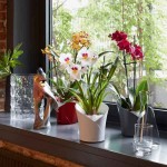 ORCHIDEA Καφέ Τεφρό Φ18x20cm Γλάστρα-Κασπώ Στρογγυλή Αυτοποτιζόμενη LECHUZA - Στρογγυλές Αυτοποτιζόμενες Γλάστρες