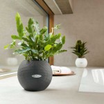 Self-Watering Planter Lechuza Ø20x16cm PURO Color 20