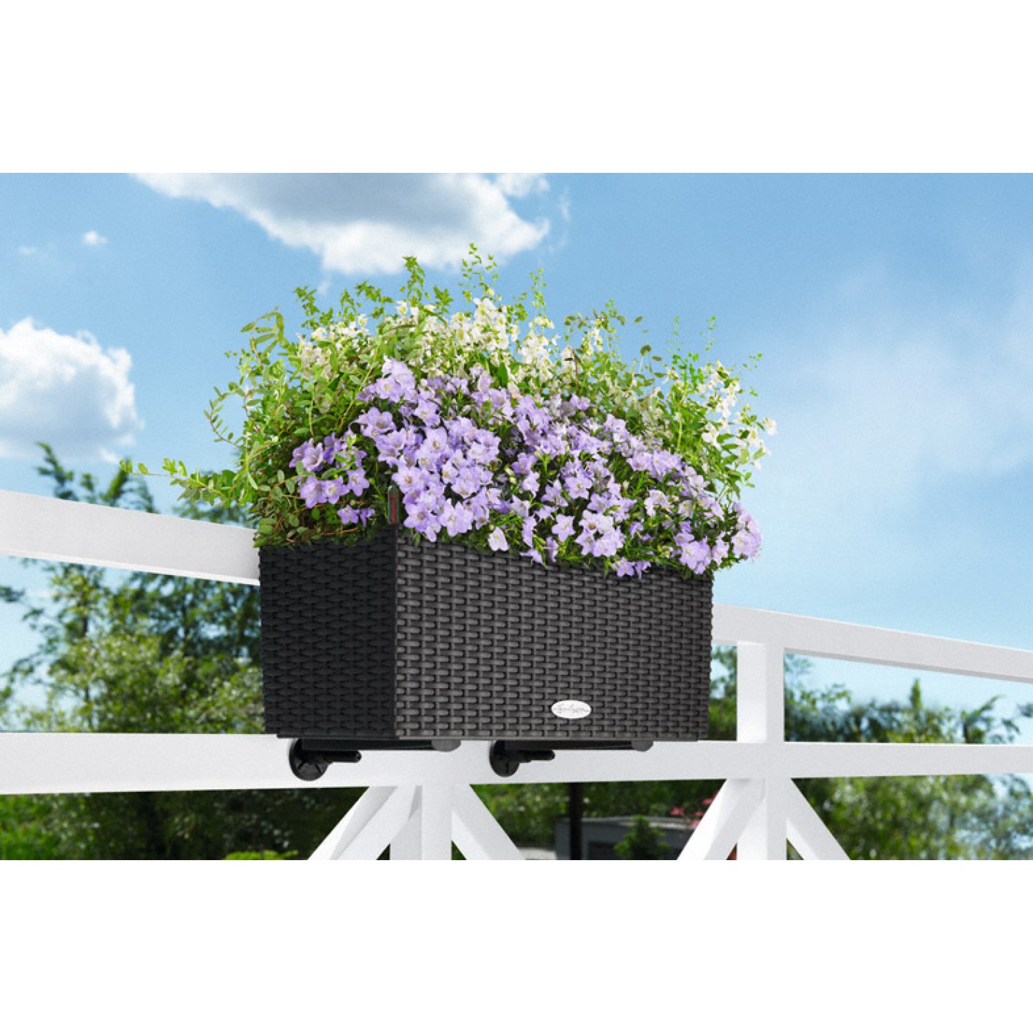 Αυτοποτιζόμενες Ζαρντινιέρες Lechuza BALCONERA Cottage 50