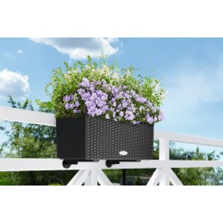 Self-Watering Plastic Planters Lechuza BALCONERA Cottage 50