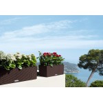 Αυτοποτιζόμενες Ζαρντινιέρες Lechuza BALCONERA Cottage 50