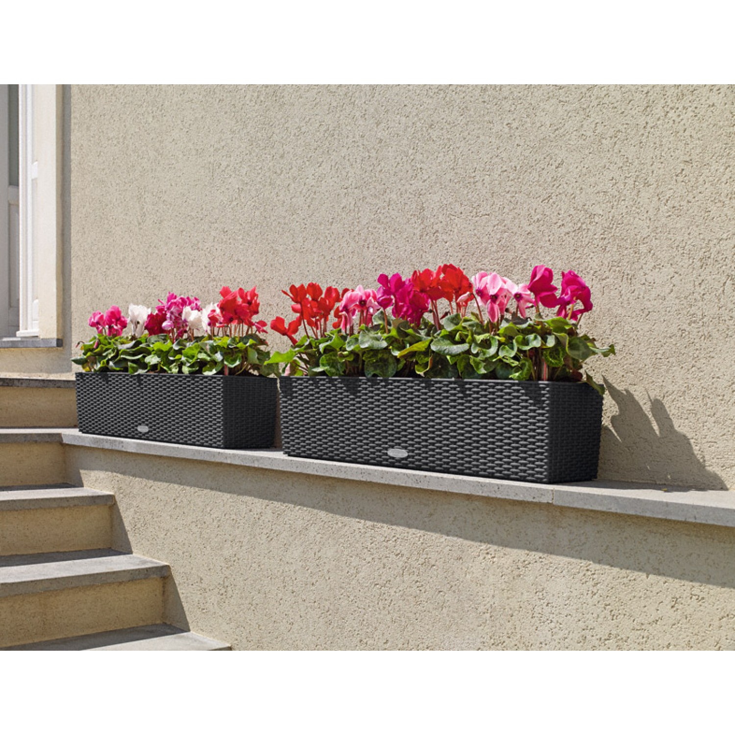BALCONERA Cottage 80 |kipogeorgiki.live