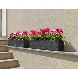 BALCONERA Cottage 80 |kipogeorgiki.live