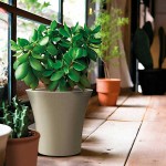 Plastona CITY25 Ø25x22cm Plastic Pot-Cachepot