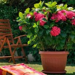 Plastona CORFU 635 Ø35x26cm Round Plastic Pot - Round Pots & Planters Plastona CORFU 635 Ø35x26cm Round Plastic Pot