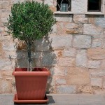 Πλαστική Γλάστρα CORFU SQUARE 45x45x(Υ)37cm Plastona