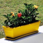 Planter FESTONE FUN COLORS 50x20x(H)16cm Plastona