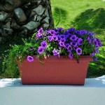 Planter FESTONE JARDINIERES 40x20x(H)16cm Plastona