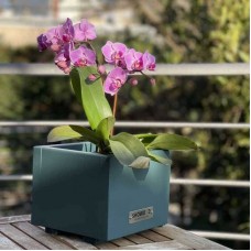 Ξύλινη Γλάστρα - Κασπώ Πράσινη 15(Υ)x18x18cm Εμποτισμένη