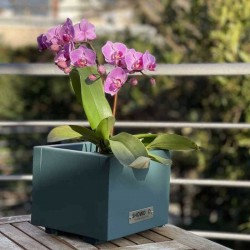 Ξύλινη Γλάστρα - Κασπώ Πράσινη 15(Υ)x18x18cm Εμποτισμένη
