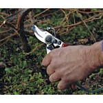 Κλαδευτήρια με Ψεκασμό Felco 19 Γνήσιο Κλαδευτήρι με Ψεκασμό Felco 19 | Εργαλεία Κλαδέματος