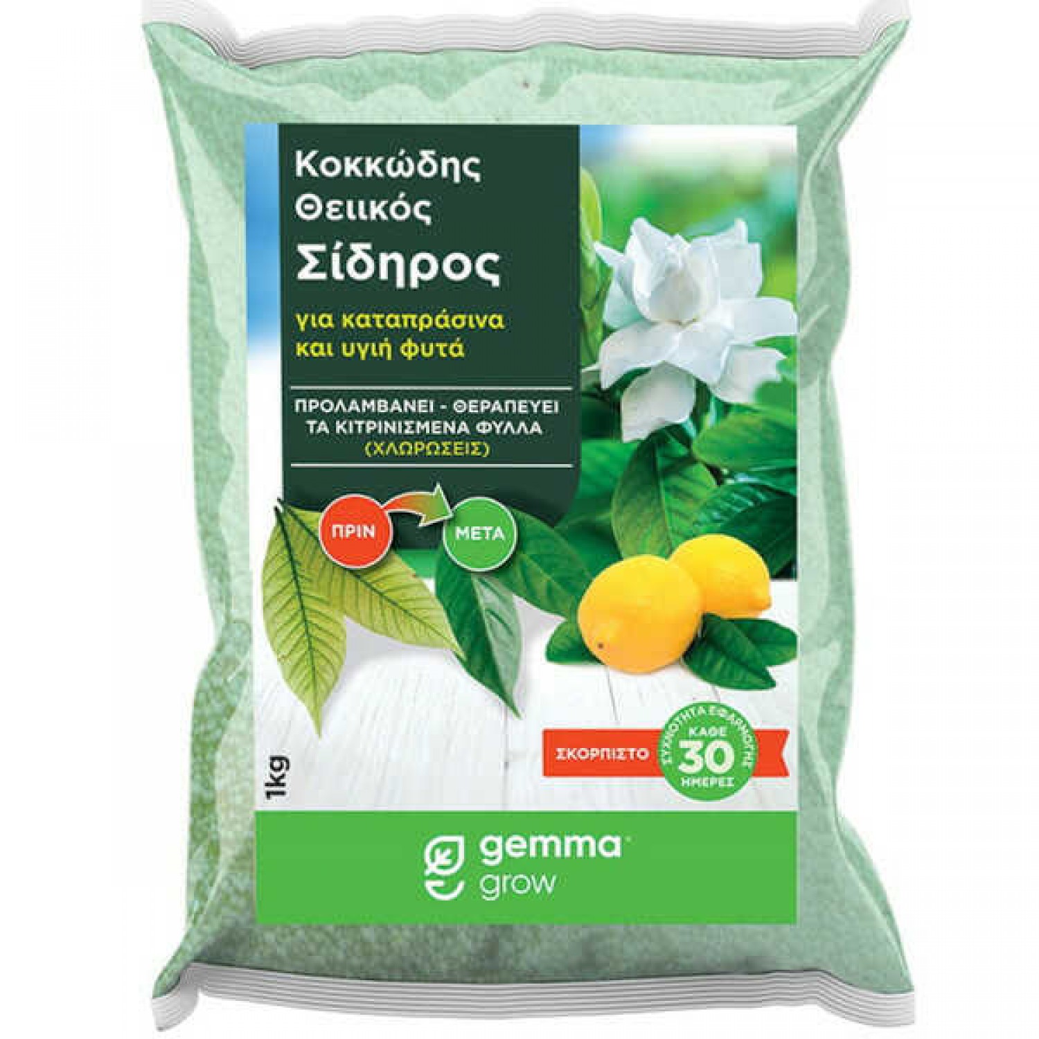 Κοκκώδης Θειικός Σίδηρος 1kg GEMMA (Καραμπογιά)