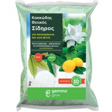 Κοκκώδης Θειικός Σίδηρος 1kg GEMMA (Καραμπογιά)