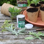 VITAX Organic Rooting Powder 50g-Every Type of Cuttings VITAX Organic Rooting Powder 50g-Every Type of Cuttings - Natural Rooting Hormones