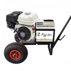 Γεννήτρια-Δυναμό Ραβδιστικού HONDA 5,5hp GP160 13,8V
