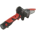 Blue Bird CS 22-04 Battery Pruning Chainsaw 12.6V 10cm Blade - Garden & Orchard Chainsaws