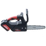 Blue Bird THCS 22-07 Battery Pruning Chainsaw 21V 20cm Blade - Garden & Orchard Chainsaws