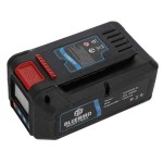 50.4V - 5AHR Lithium Battery with Display by BLUE BIRD 50.4V - 5AHR Lithium Battery with Display by BLUE BIRD - Agricultural Machinery Batteries