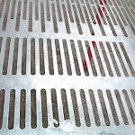 Olive & Nuts Moving Sieve INTERPOWER - Olive Sieves & Separators Olive & Nuts Moving Sieve INTERPOWER