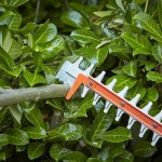 Black & Decker 650W Electric Hedge Trimmer 60cm 551-QS - Electric Hedge Trimmers Black & Decker 650W Electric Hedge Trimmer 60cm