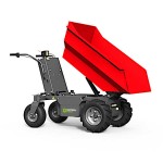 Blue Bird CARRIER WB 500 E Transporter