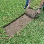 Maredo ST120 Flex-SodCutter Turf Removal Head 46cm - Turf Care Equipment