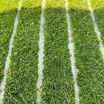 Maredo ST160 CleanCut-SandFiller Head 66cm - Turf Care Equipment