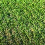 Maredo ST418 VibeDisc-Seeder Κεφαλή Σπαρτική Δίσκου 66cm-6kg - Μηχανήματα Φροντίδας Γκαζόν