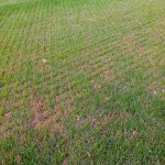 Maredo ST418 VibeDisc-Seeder Κεφαλή Σπαρτική Δίσκου 66cm-6kg - Μηχανήματα Φροντίδας Γκαζόν