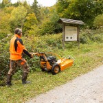 AS 65 2T ES Καταστροφέας Χόρτων AS-MOTOR-Χορτοκοπτικά