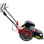 Χορτοκοπτικό Μεσινέζας FLO SPEED 6 BLUE BIRD Honda GCV 170 Τετράχρονη Βενζίνης - Αυτοκινούμενα Χορτοκοπτικά