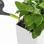 PICO Green Attachment for Watering Cans Lechuza PICO Green Attachment for Watering Cans Lechuza - Watering Cans & Accessories