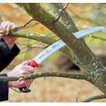 Felco 640 Full-Stroke Curved Pruning Saw 27cm | Kipogeorgiki
