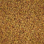 Fenugreek Seeds 50g Bucket (Trigonella foenum-graecum) - Seed for Fenugreeks