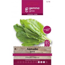 Sorrel Seeds Packet 12718 (Rumex acetosa)
