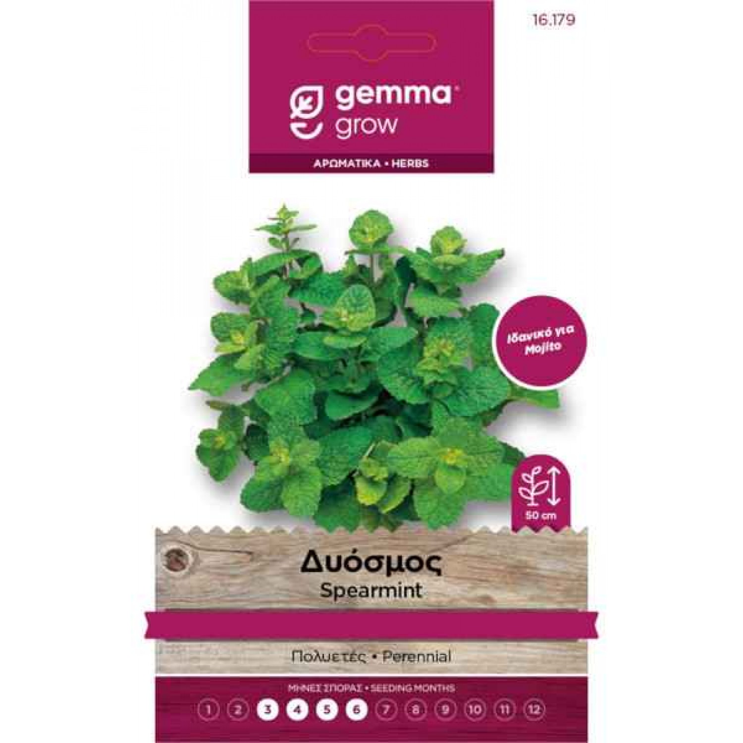 Spearmint Seeds Packet 16179 (Mentha spicata)