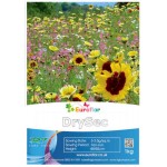 Σπόροι Μείγμα DrySec 1kg για Αστικά Λιβάδια EUROFLOR
