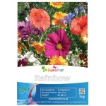 Σπόροι Μείγμα Rainbow Annuals 1kg για Αστικά Λιβάδια EUROFLOR