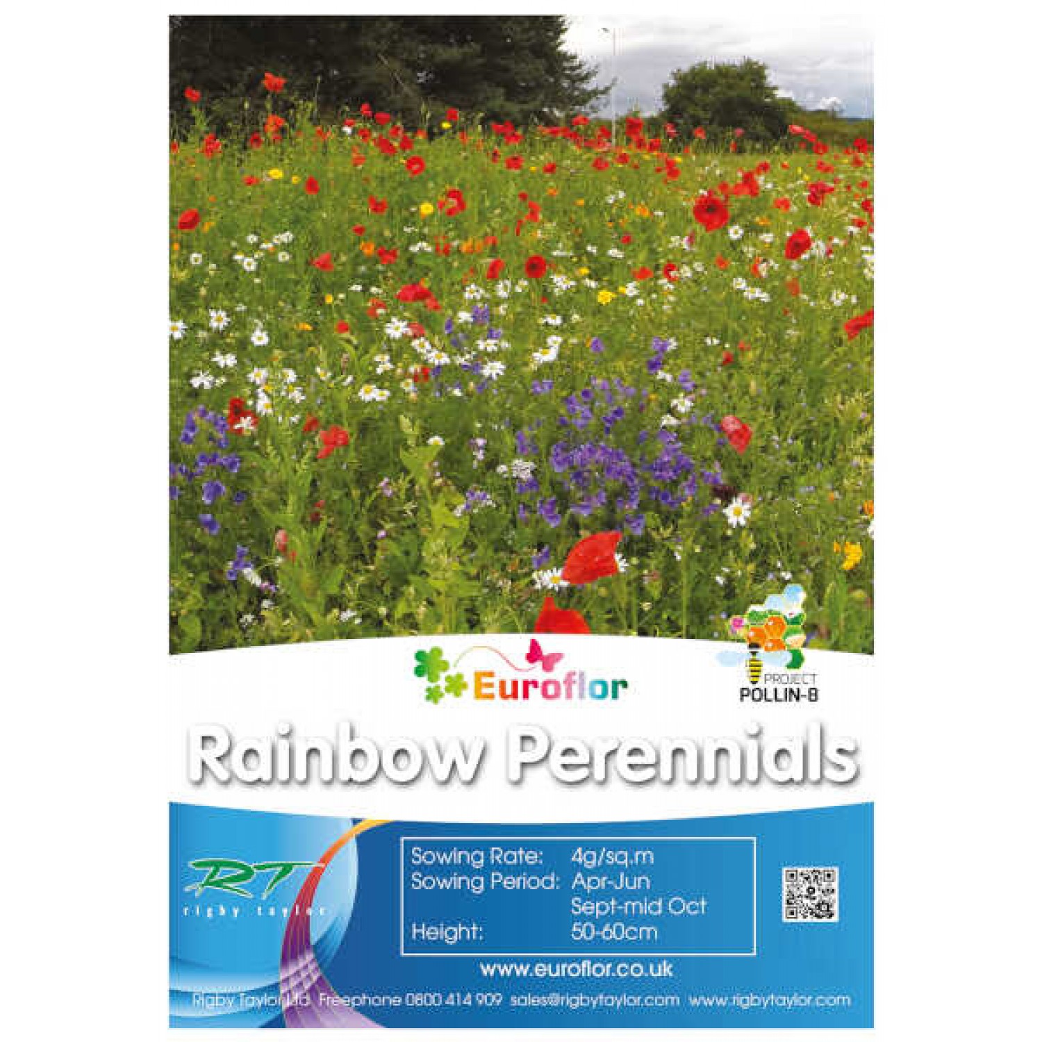 EUROFLOR Rainbow Perennials 1kg Seeds Mixture Urban Meadows