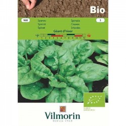 Βιολογικοί Σπόροι Σπανάκι Bio Geant d'Hiver 968 VILMORIN