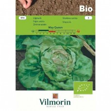 Βιολογικοί Σπόροι Μαρούλι Bio May Queen 974 VILMORIN